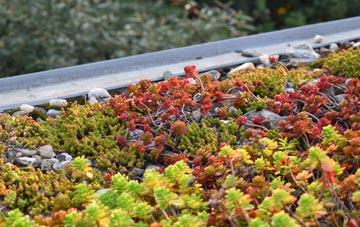 the cost of Stanstead green roof installation