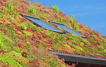 Stanstead living roof systems